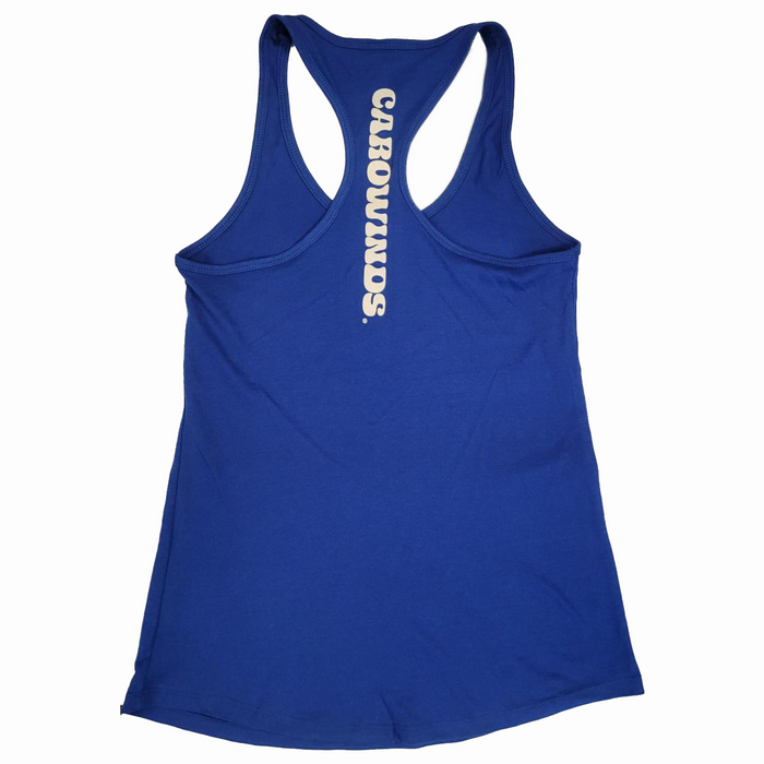 Carowinds Fury 325 Retro Gaming Tank
