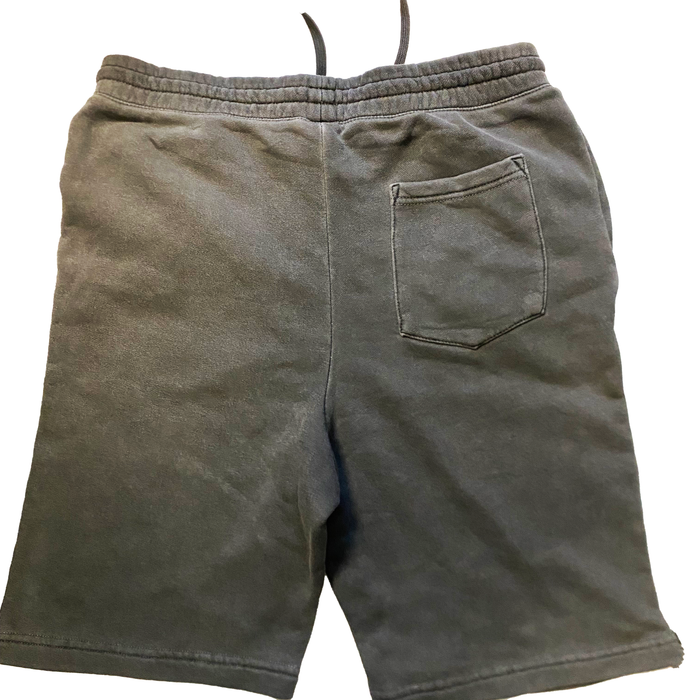Carowinds Fury 325 Swarm Shorts