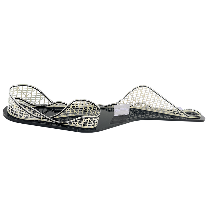 Dorney Park Thunderhawk NanoCoaster
