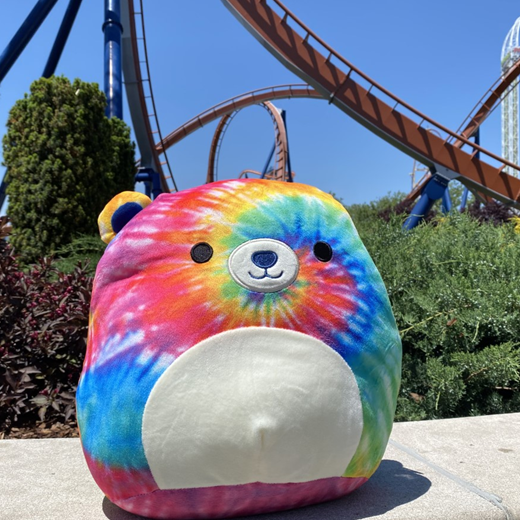 Cedar Point 12" Tie Dye Squishmallow Bear